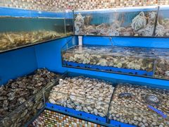 -港畔赶海蒸汽海鲜烧烤自助(仙螺岛店)