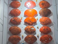 -龙海鲜螃蟹王(宏茂桥店)