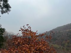 -北京西山国家森林公园