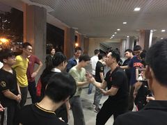-温鉴良实用咏春拳