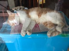 -广迎居老正兴菜馆