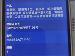 -佳怡动物医院·平价24小时·猫专科骨外科