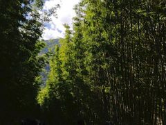 -蝴蝶泉公园
