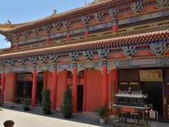 -东莞市大岭山森林公园