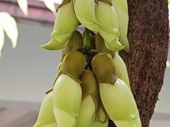 -天鹿湖森林公园