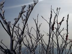 -崂山巨峰游览区