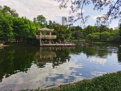 -晓港公园