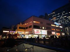 -台场海滨公园船码头