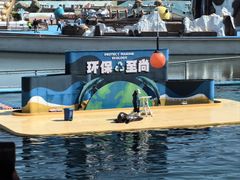 -秦皇岛乐岛海洋王国