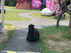 -淄博聊斋城景区