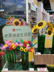 -乐高授权专卖店(济南万象城店)