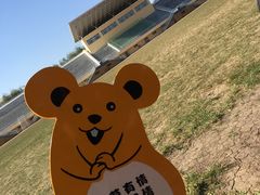 -东北师范大学(净月大街校区)