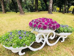 -人民公园(罗湖区)