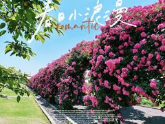 -广富林郊野公园