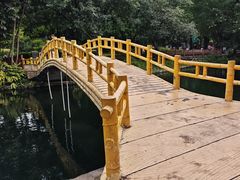 -晓港公园
