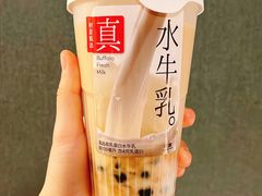 -树夏(锦里店)