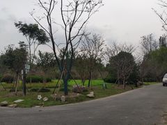-自然谷恐龙园