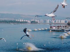 -海埂大坝