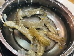 -春华海鲜城(广场西苑店)