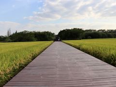 -良渚古城遗址公园