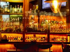 -The Cheebat 锌吧·Bistro(体育西店)