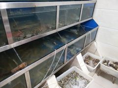 -宾朋海鲜特色美食餐厅·纯手工鲅鱼水饺(兴海路店)