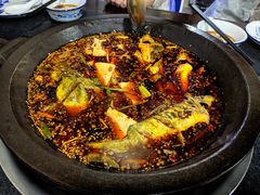 -秦巴石锅鱼(文化南路店)