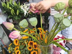 -青石桥花鸟鱼虫市场(叠翠城店)