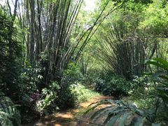 -广州市白云山风景名胜区