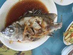 夏军饭店-夏军农家乐