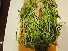 白灼豆苗-火宫殿·湘菜小吃·商务宴请·生日聚会(东塘店)