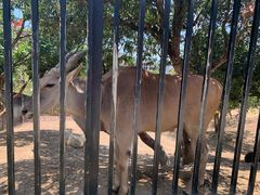 -泉州海丝野生动物世界