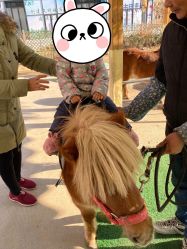 点击看大图 -萌宠亲子动物乐园(槐房万达店)