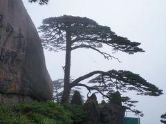 -黄山风景区