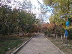 -前关湿地公园