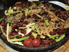 -老板恋上鱼(高新万达店)