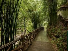 -蜀南竹海景区
