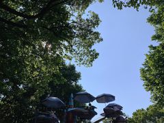 -上海共青森林公园