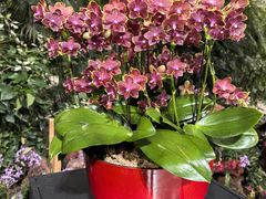 -北京植物园-展览温室