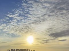 -红树林天天赶海