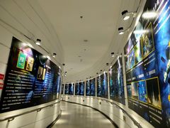 -梦东方未来世界航天主题乐园