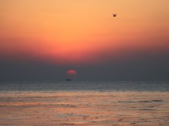 -渡海小渔村.老辈日照菜