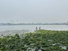 -烟墩角天鹅湖