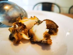 九孔鲍鱼-凯华海鲜火锅·传承三十六年