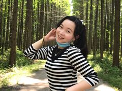 -黄海国家森林公园