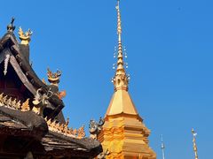 -西双版纳傣族园