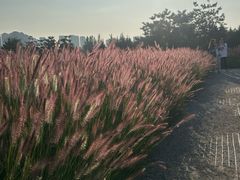 -汉长安城未央宫国家考古遗址公园