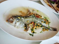 黄豆酱蒸鲈鱼-半岛太子酒家(海港城店)