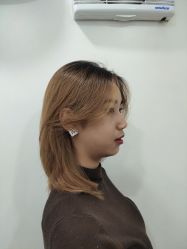 -YESIDO椰岛造型