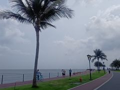 -野狸岛
